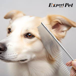 바비온 엑스퍼트펫 전문가용 커브프로콤 BCM3386 BCM3081 강아지... 솔직 후기 | 실제 사용자 리뷰 총정리 - 상품 이미지 3