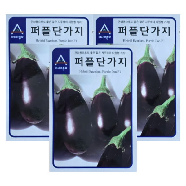 [단가지종자] 퍼플단가지 50립 씨앗 종자 3g, 3개입 - 상품 이미지