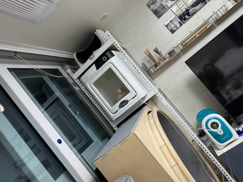 국산 의료용 고양이 산소방 무약정