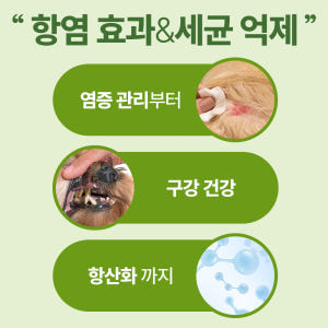 펫생각 강아지 구강 영양제 180정 그린프로폴리스 종합 관절 면역 염증 ... 솔직 후기 | 실제 사용자 리뷰 총정리 - 상품 이미지 2