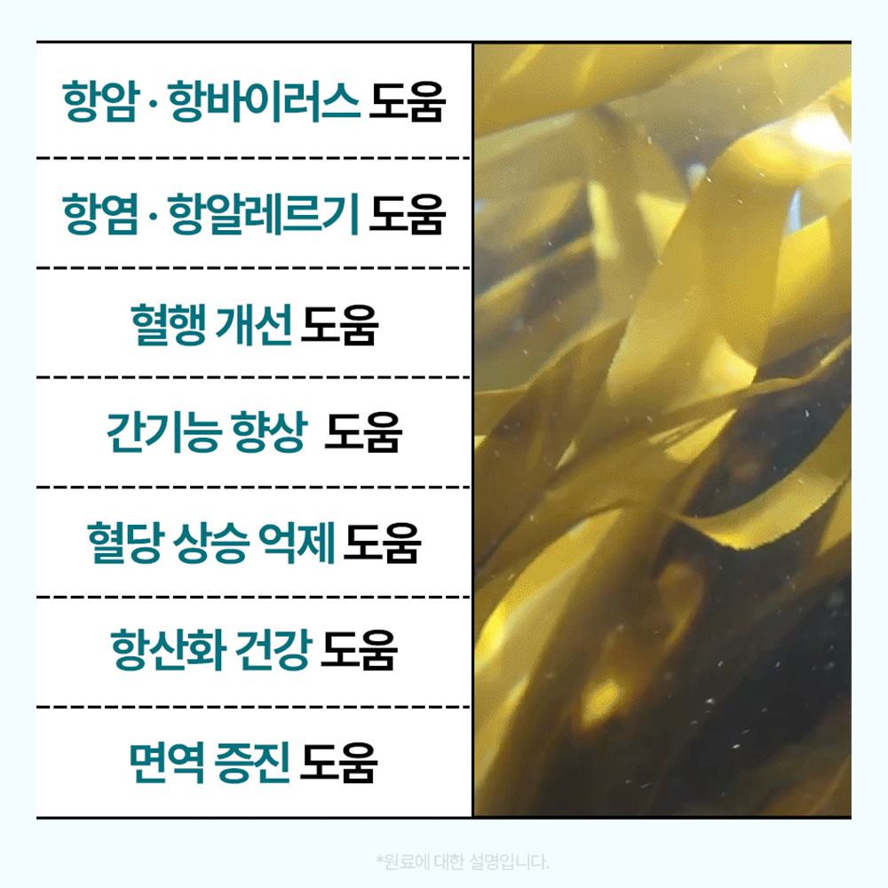 펫생각 리얼 후코이단 강아지 종합 영양제 면역력 소화 혈행 피부 항산화제 30정, 1개 이미지 2
