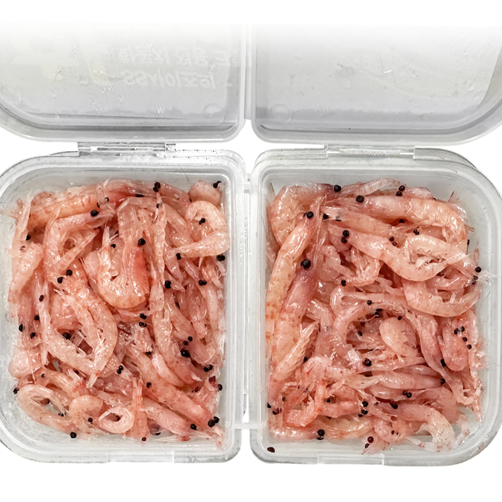 조선크릴 질기고 부드러운 SS사이즈 학꽁치 각크릴 미끼 - 상세 이미지 4