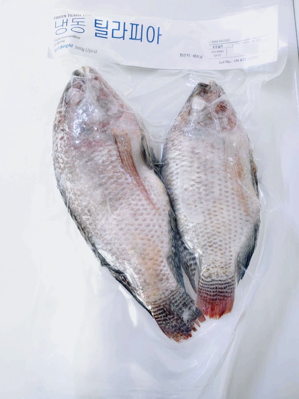 베트남 역돔 냉동 틸라피아 2P 900g, 10개 - 상품 이미지