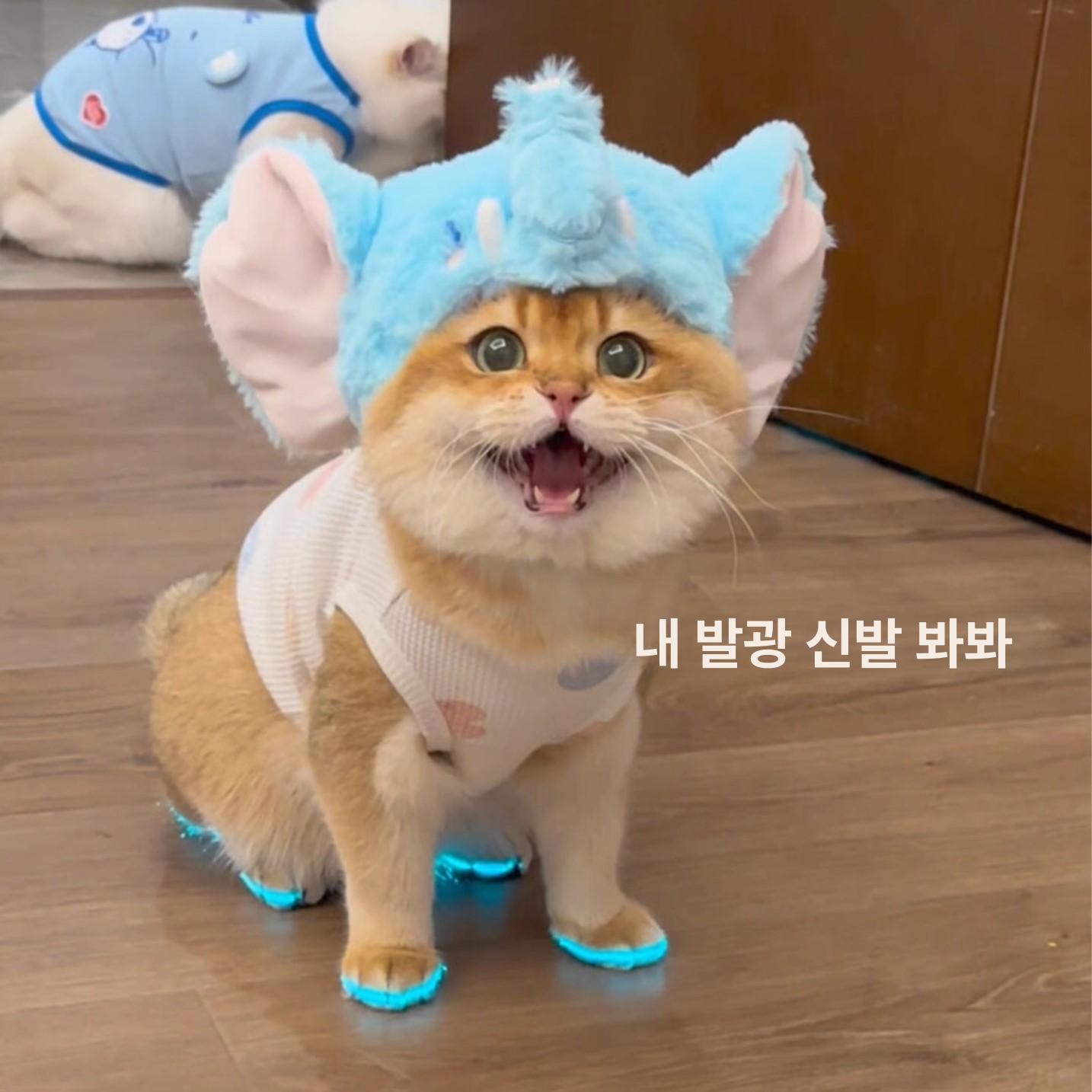 고양이 발광 반사 테이프 강아지 신발 장난감 반사띠 실내외 애완동물 블루 A 메인 이미지 스타일 10mmx3m