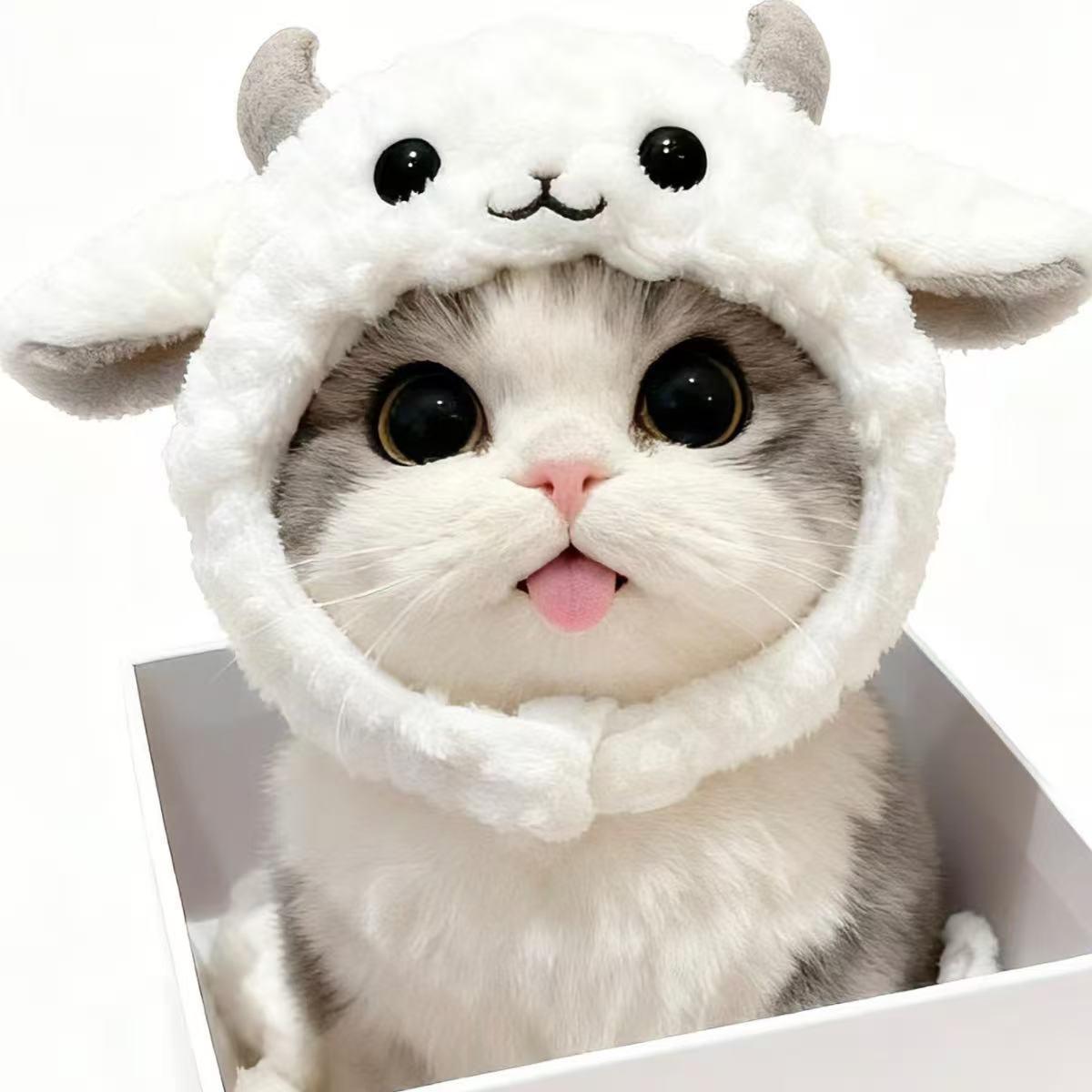 강아지 고양이 상어모자 양모자 애완동물 헤드커버 겨울용 귀여운 머리장식 리틀램 헤드 커버 S 2.5kg