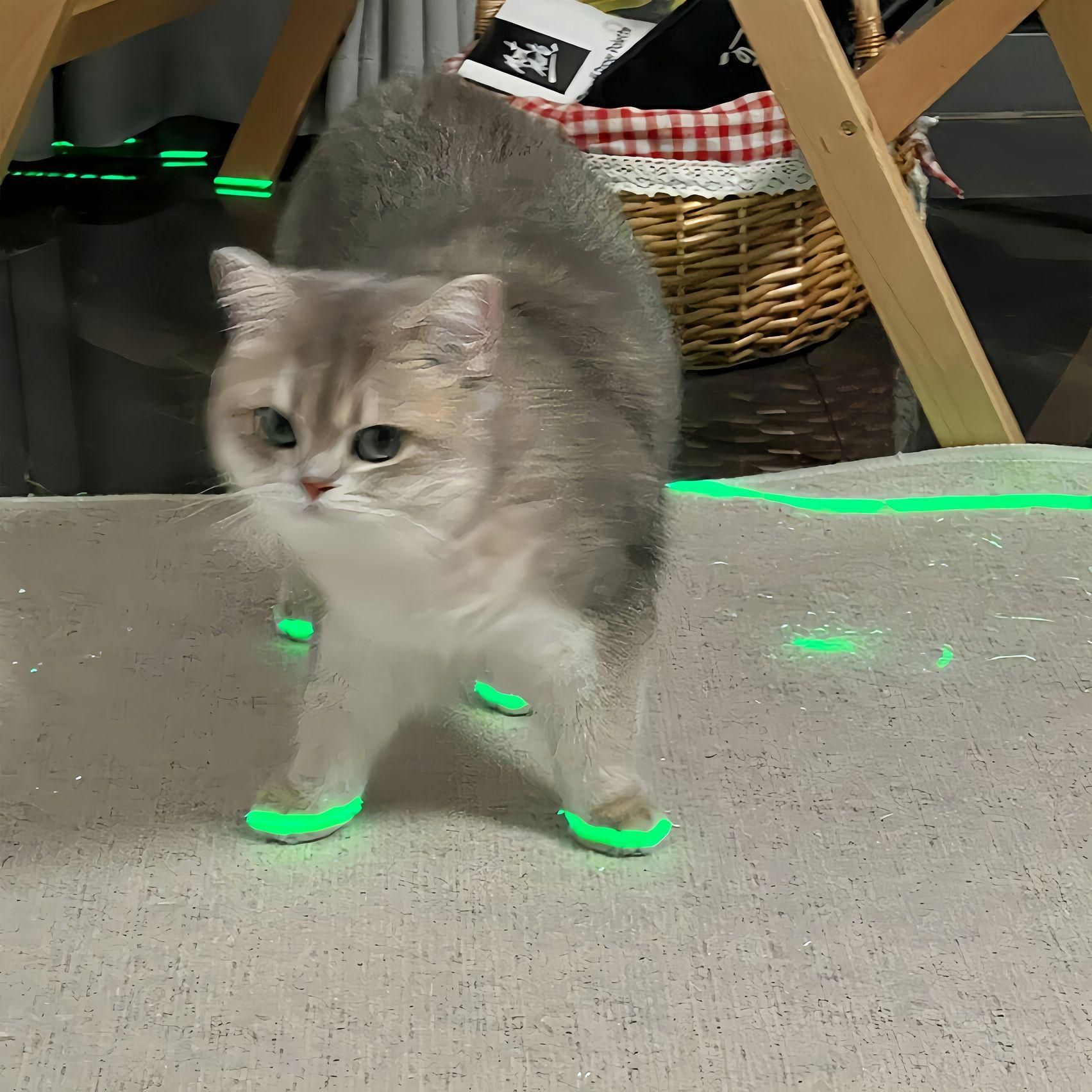 고양이 발광 반사 테이프 강아지 신발 장난감 반사띠 실내외 애완동물 블루 A 메인 이미지 스타일 10mmx3m