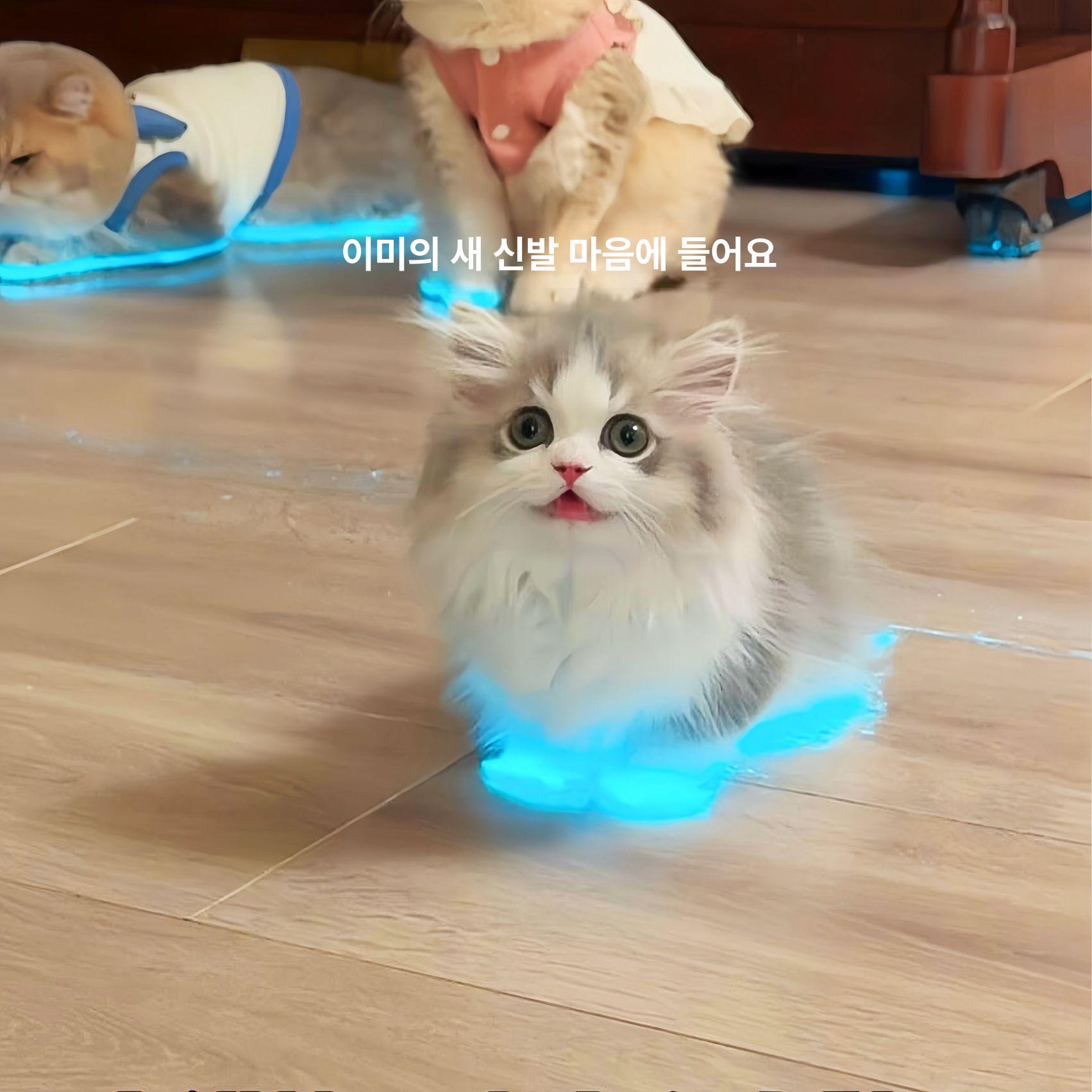 고양이 발광 반사 테이프 강아지 신발 장난감 반사띠 실내외 애완동물 블루 A 메인 이미지 스타일 10mmx3m