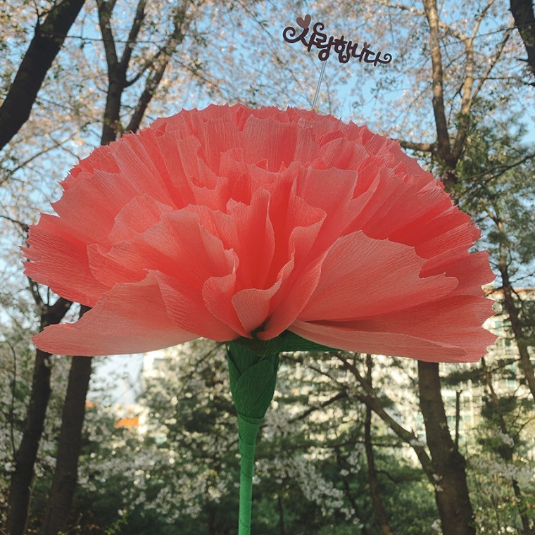 스승의날 이벤트 선물 로인스 자이언트 카네이션 만들기 DIY 어버이날 이벤트 - 메인 이미지