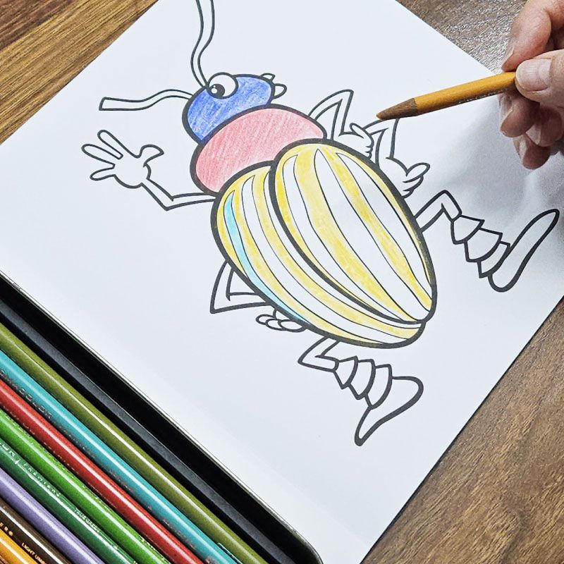 어르신 색칠공부 시니어 치매예방 쉬운 컬러링북 미술 치료 취미 그림 도안 이미지 6