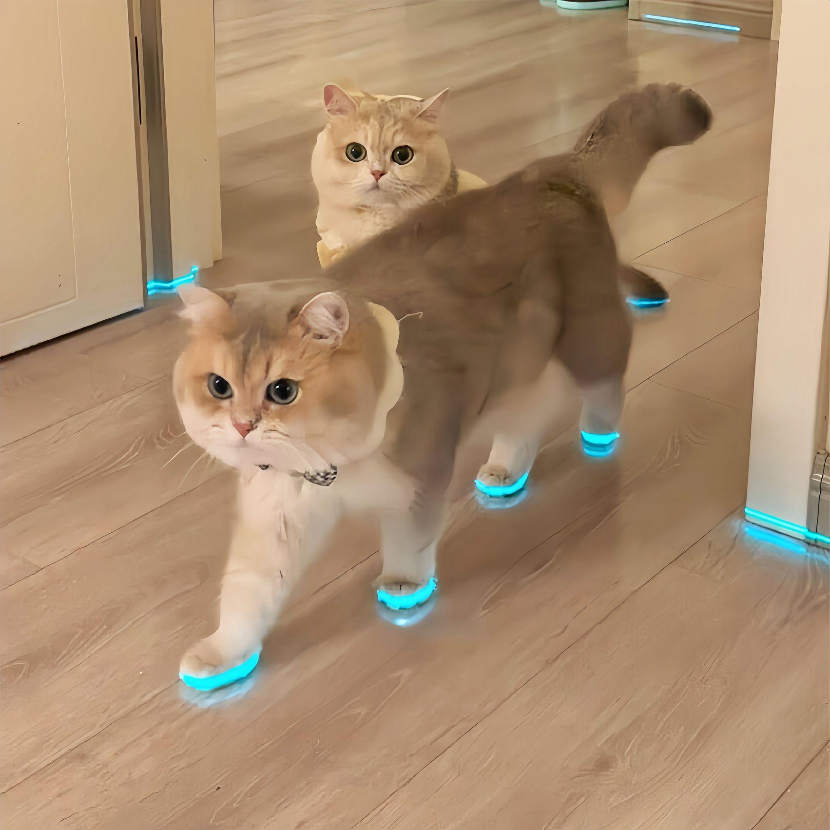 고양이 발광 반사 테이프 강아지 신발 장난감 반사띠 실내외 애완동물 블루 A 메인 이미지 스타일 10mmx3m