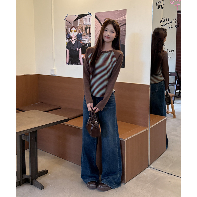 여성 편안한 루즈핏 스트라이프 라글란 긴팔 티셔츠 캐주얼 데일리 라운드넥 이너웨어 가을 - 상세 이미지 4