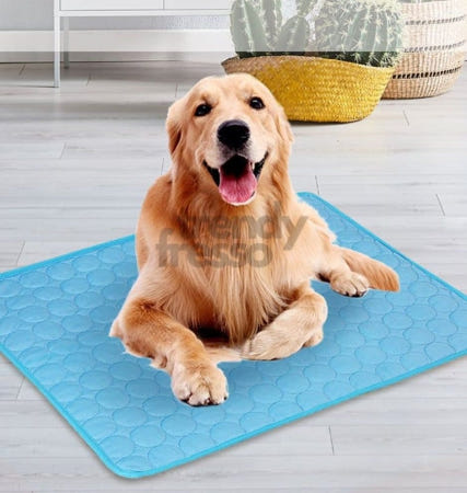 트렌디프레소협력사 다올 반려동물 쿨매트 M 쿨방석