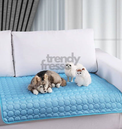 트렌디프레소협력사 다올 반려동물 쿨매트 블루 XL 냉감패드 쿨링매트