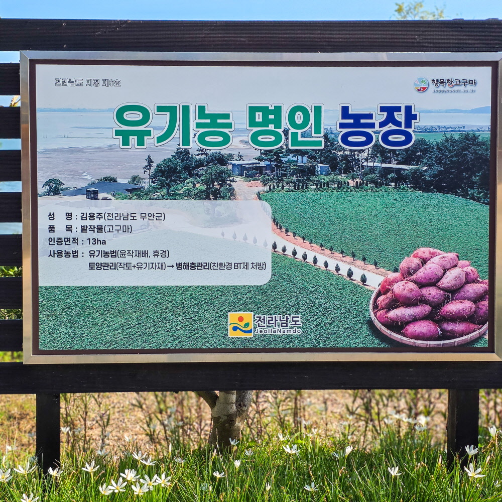 유기농 씻어 말린 국산 참깨(2025년산) 500g 이미지 6