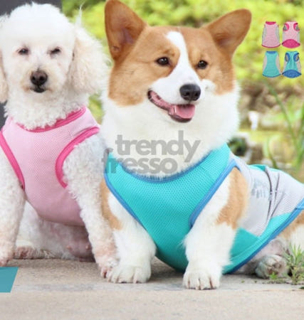 트렌디프레소협력사 다올 강아지 쿨조끼 쿨티 래쉬가드 강아지쿨링조끼