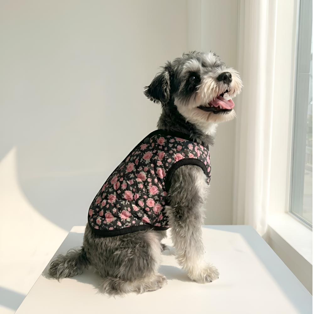 뚜담 강아지김장조끼 고양이 할머니조끼 반려견 히트텍