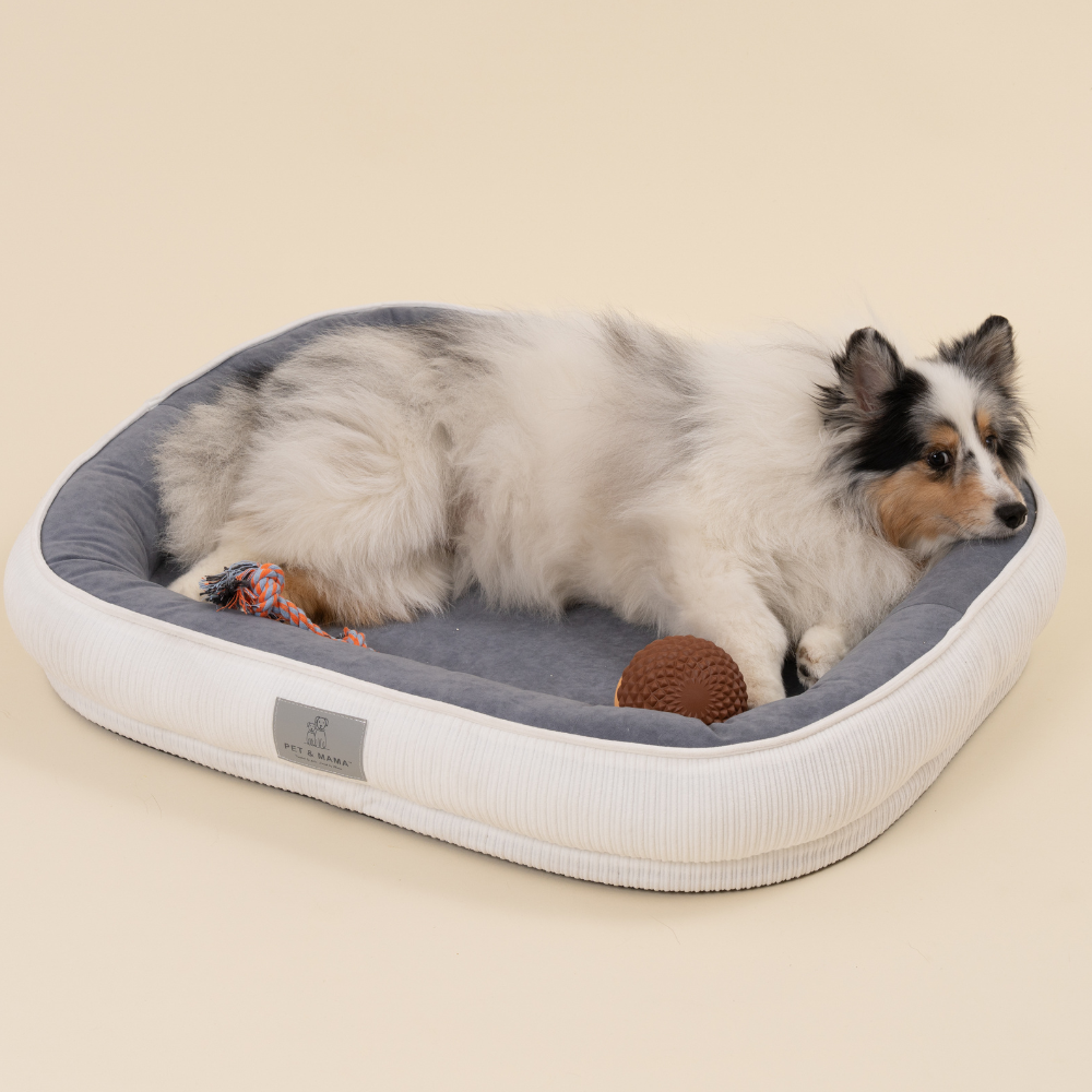 펫앤마마 강아지 방석 슬개골 보호 폼 애견 반려견 마약 쿠션 극세사 대형견 분리세탁 L