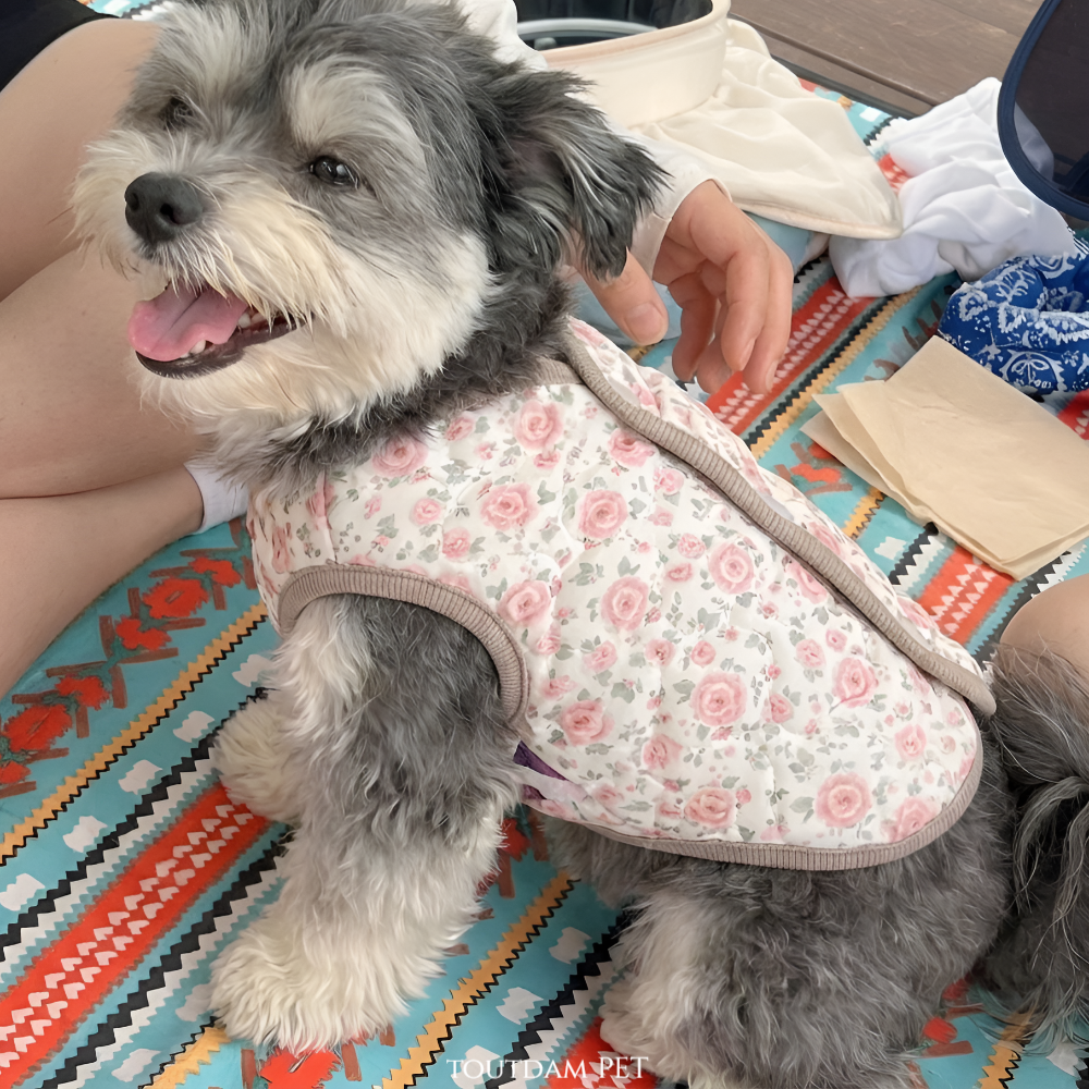 뚜담 강아지김장조끼 고양이 할머니조끼 반려견 히트텍