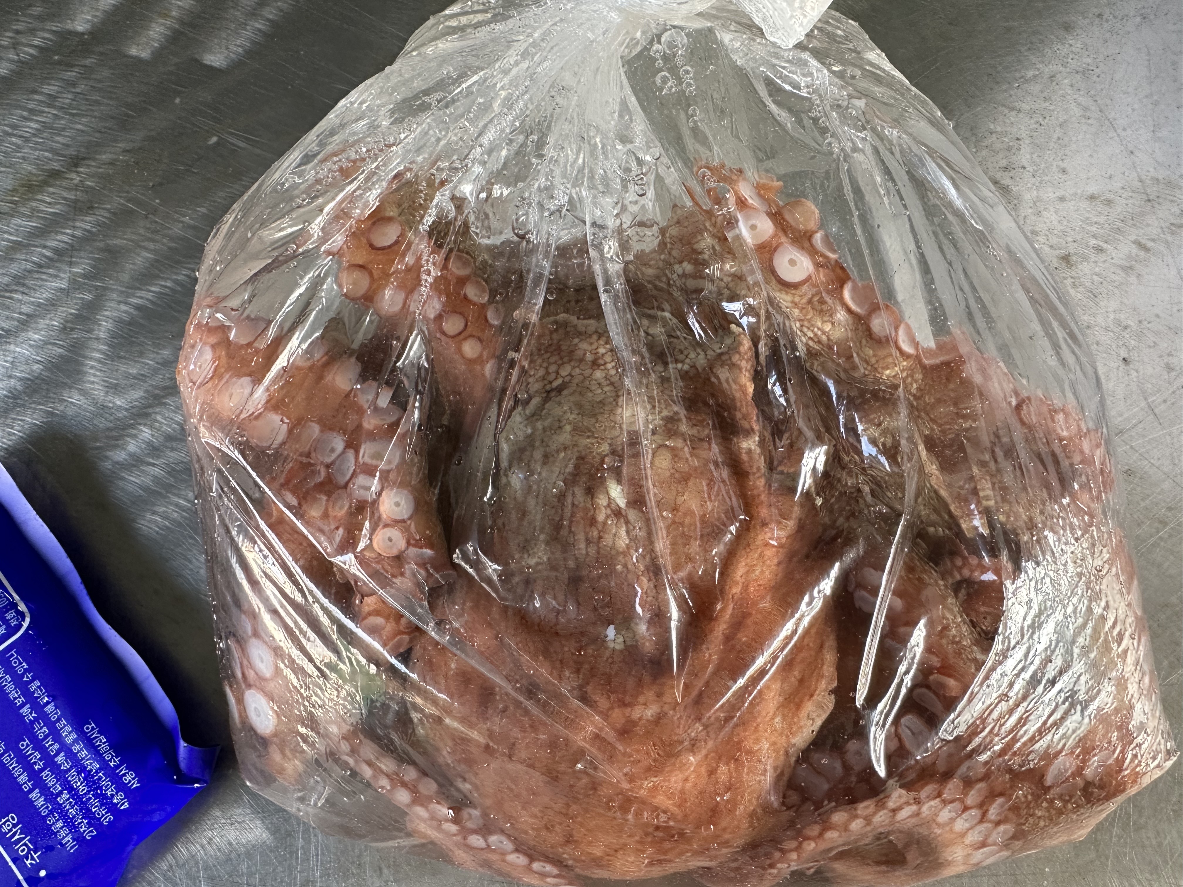 제철 자연산 남해 생물 돌문어 활문어 제수용 1kg 2kg 대왕문어 숙회 이미지 6