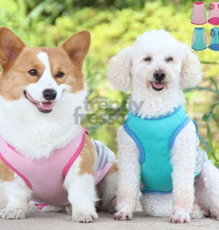 트렌디프레소협력사 다올 강아지 쿨조끼 8XL 중형견쿨조끼