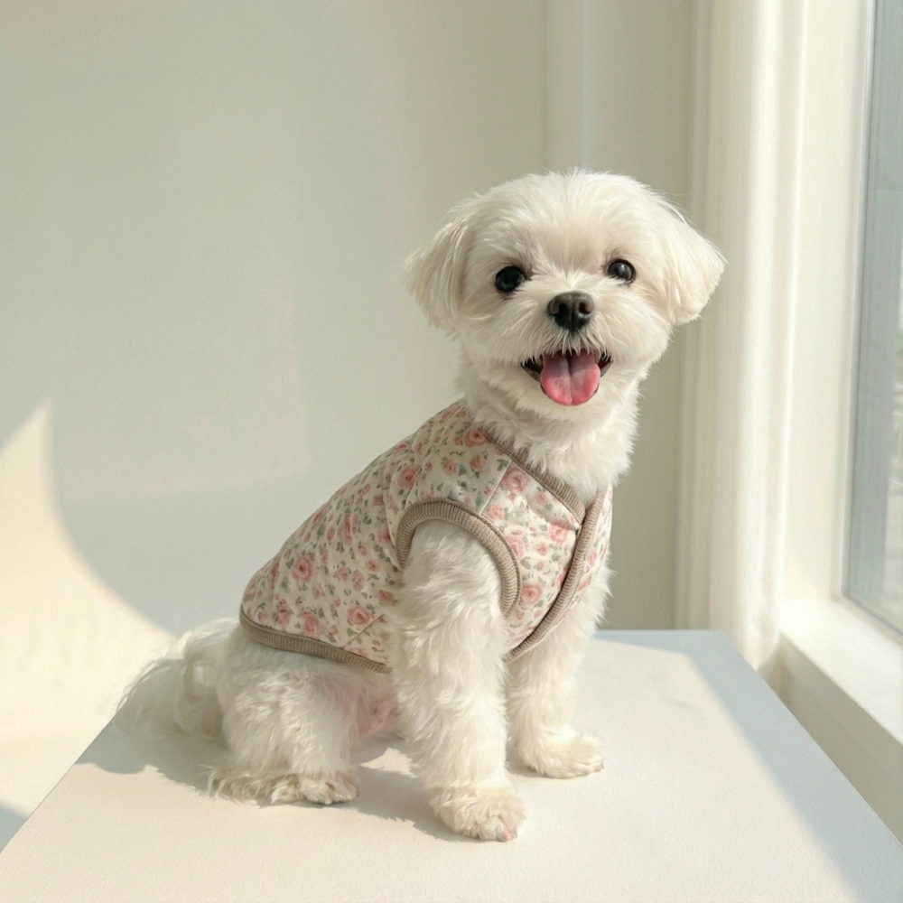 뚜담 강아지김장조끼 고양이 할머니조끼 반려견 히트텍