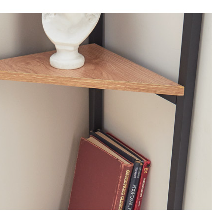 코너 미니 슬림 장식장 소형 수석 거실 작은 트로피 진열장