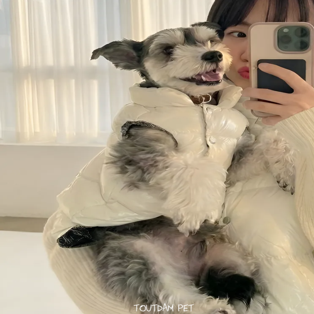 뚜담 강아지 견주 커플패딩 말티즈 진돗개 패딩 발열 아이쥐옷 - 상세 이미지 3