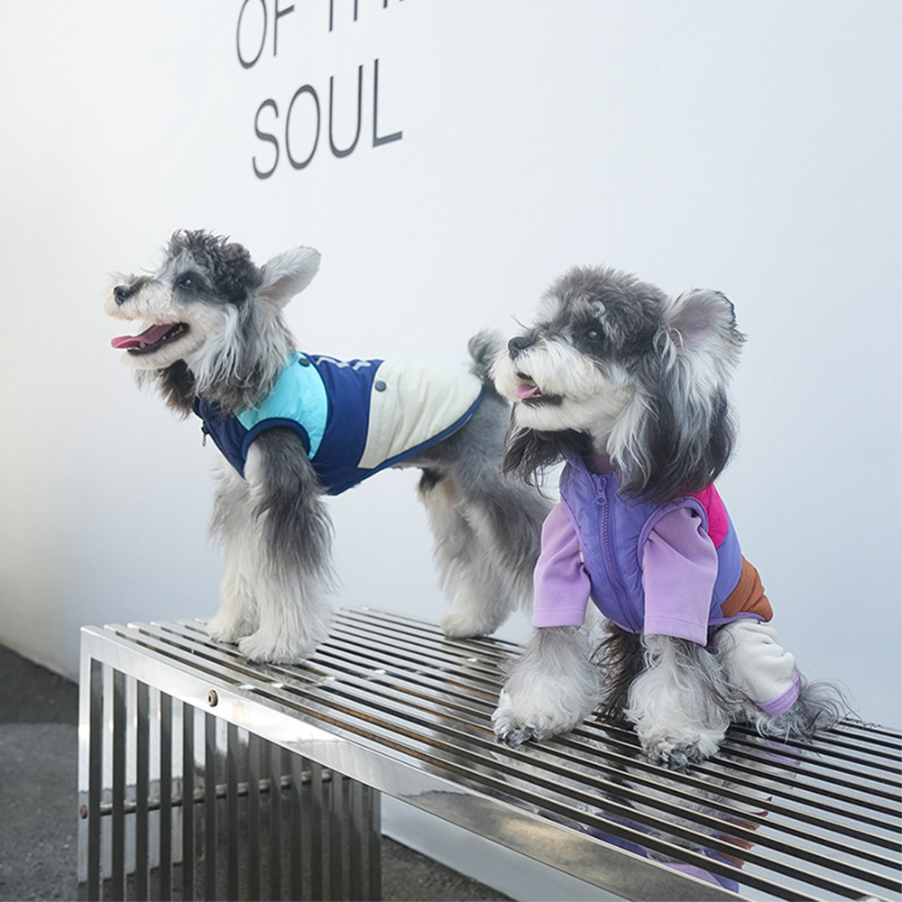 강아지 프리미엄 컬러 팔레트 반사 하네스 패딩 조끼 2컬러 5사이즈
