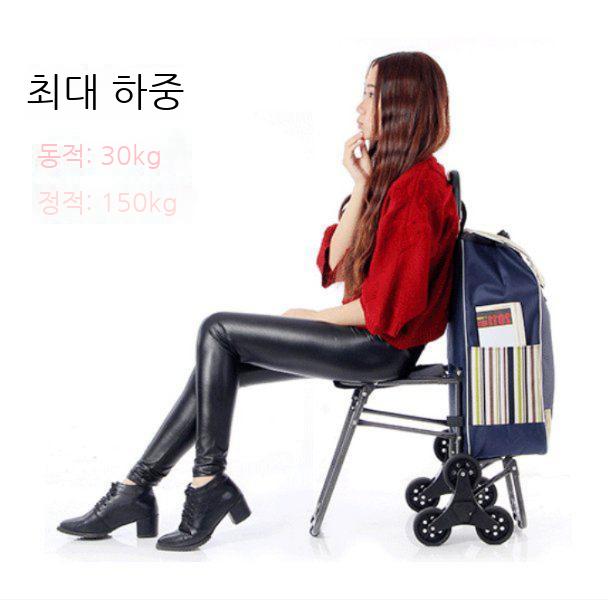 의자겸용 접이식 핸드카트 시장카트 의자형 핸드캐리어 쇼핑 노인 장보기 구루마 - 상세 이미지 4