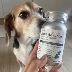 베트리온 강아지 관절 영양제 슬개골 조인트 어드밴스 100정, 1개 솔직 후기 | 실제 사용자 리뷰 총정리 - 상품 이미지 4