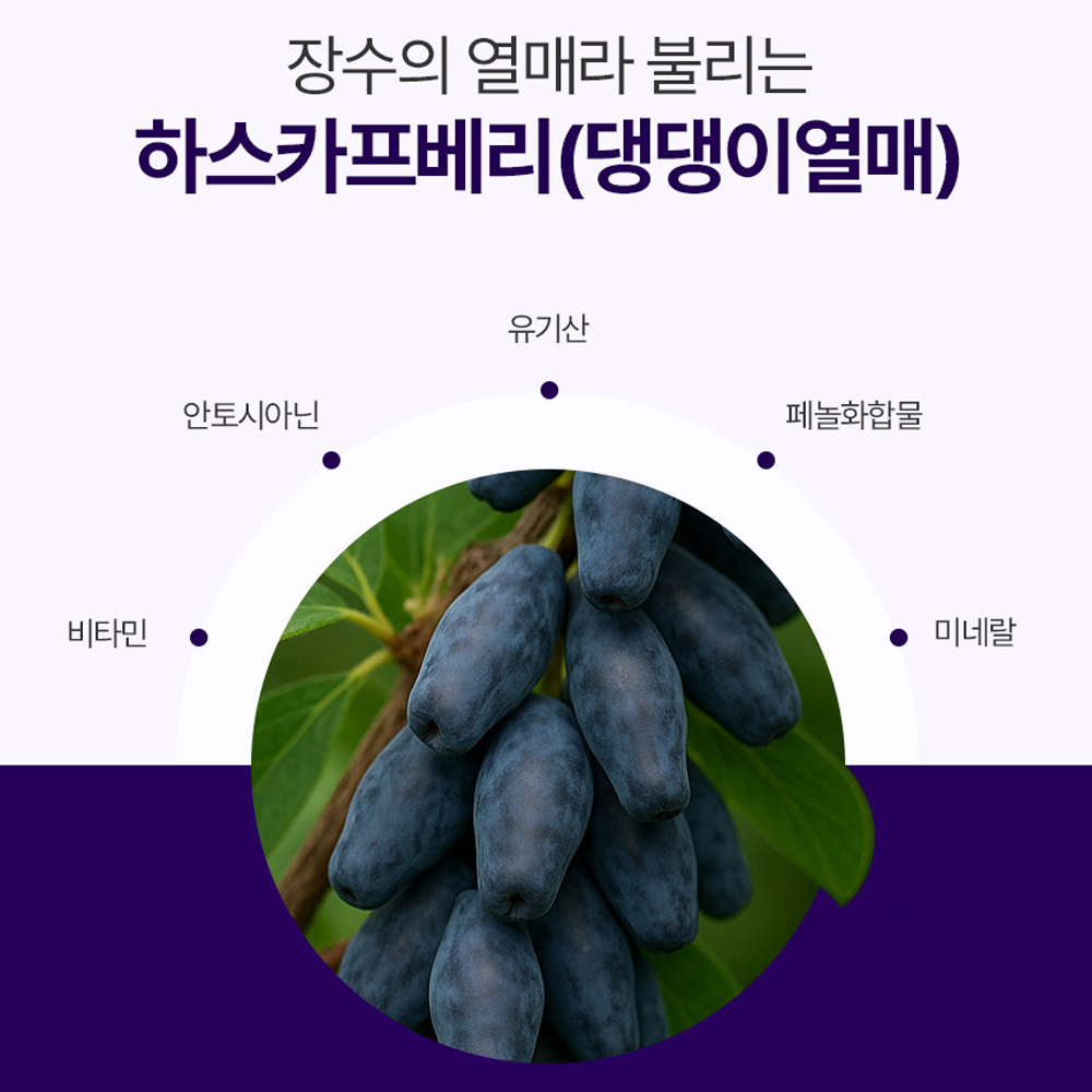 유기농 하스카프베리 C3G 분말 하프카스 하니베리 댕댕이 나무 - 상세 이미지 3