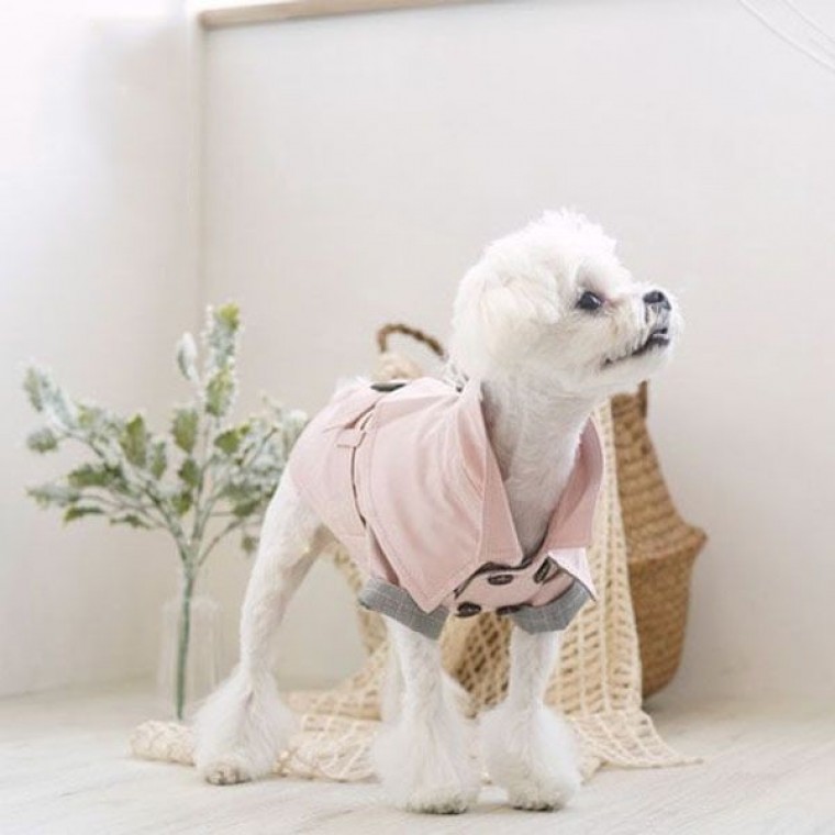 패리스독 강아지 옷 애견 애견의류 트렌치 코트 - 상품 이미지