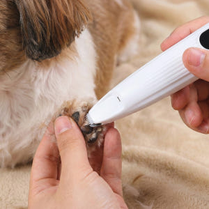 우다다 홈그루밍세트 강아지 고양이 미니 클리퍼 애견 미용 발바닥 바리깡 ... 솔직 후기 | 실제 사용자 리뷰 총정리 - 상품 이미지 3