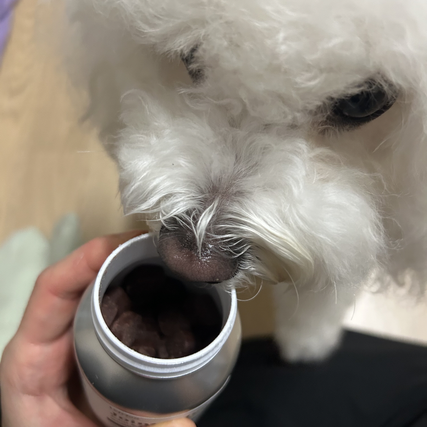 베트리온 강아지 관절 영양제 슬개골 조인트 어드밴스 100정, 1개