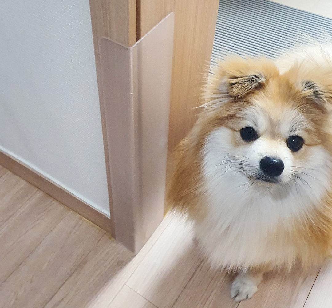 요기펫 몰딩보호대 강아지이갈이 고양이스크래치 방지 요기 프로텍터 4개 1세트