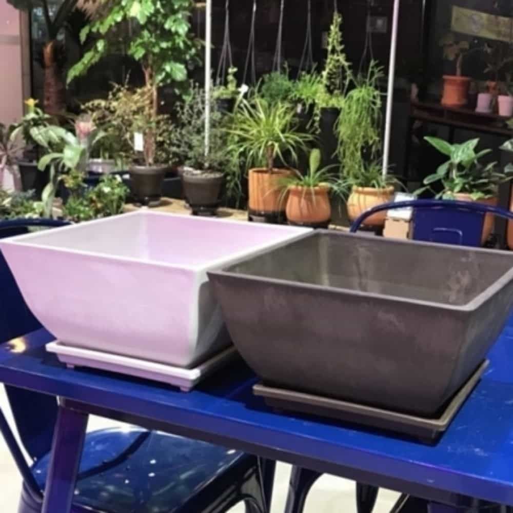 정사각 30x30x15cm 봄꽃화분 원통화분 실내화분 - 상품 이미지