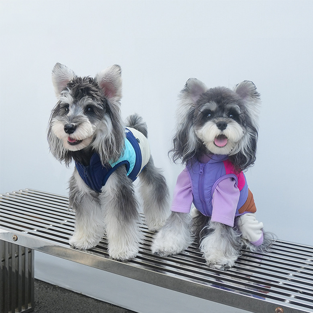 강아지 프리미엄 컬러 팔레트 반사 하네스 패딩 조끼 2컬러 5사이즈