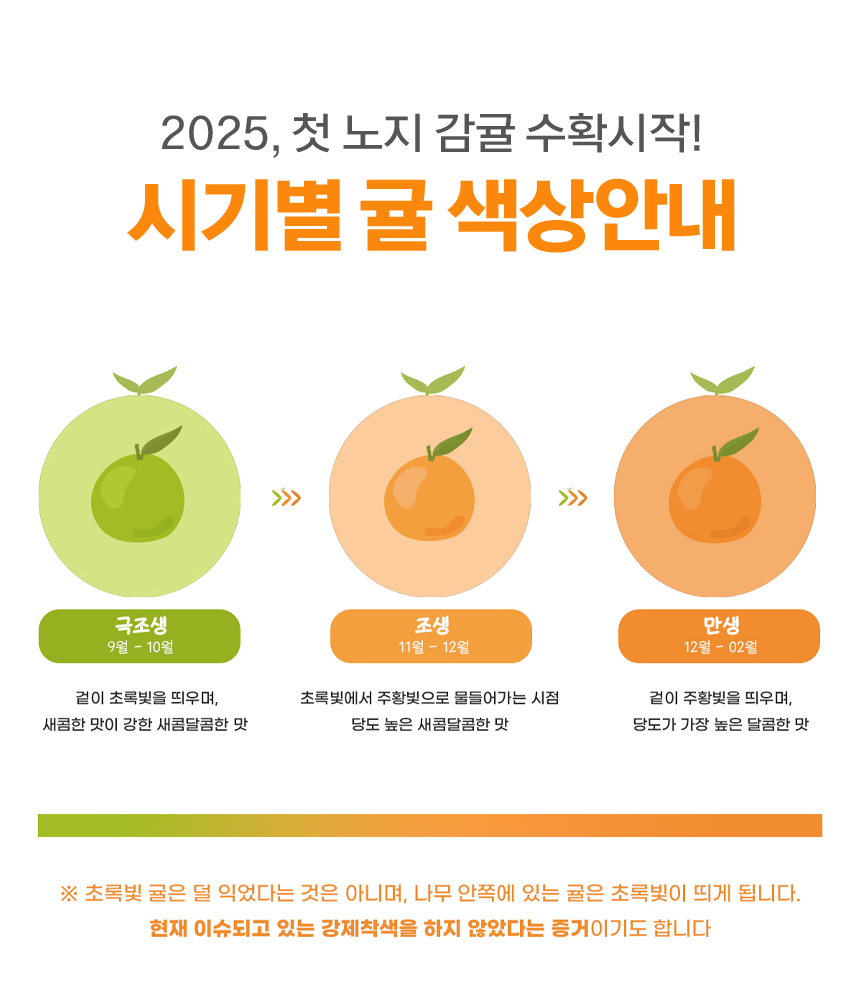 달콤한 황금향 5kg혼합과 &조생귤 S-M 3kg 이미지 8