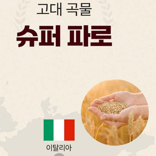 메디콕 프리미엄 파로효소 유산균 분말 스틱 30포 6박스 소화 장건강 단백질 탄수화물 분해 이미지 6