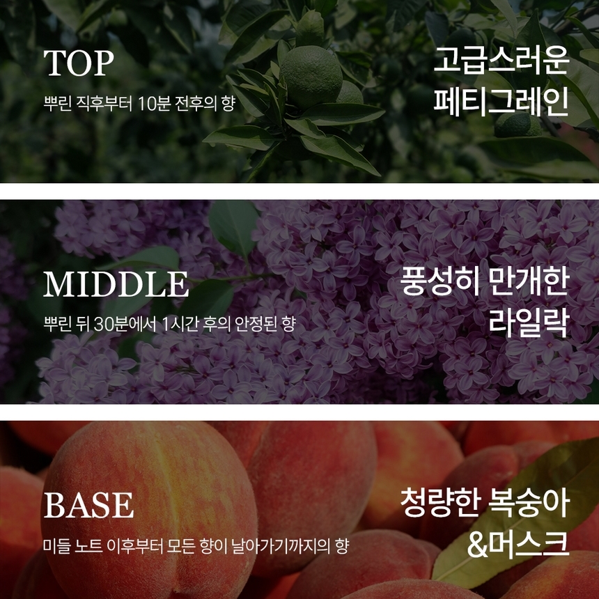 케이니치 향수 어메이징 퍼플, 100ml, 3개 이미지 7