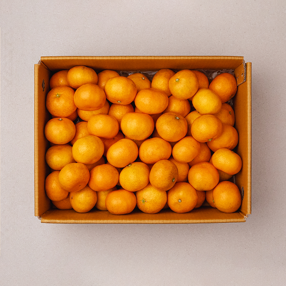 고당도 산지직송 프리미엄 타이벡 감귤 로얄과, 5kg, 1개 - 메인 이미지