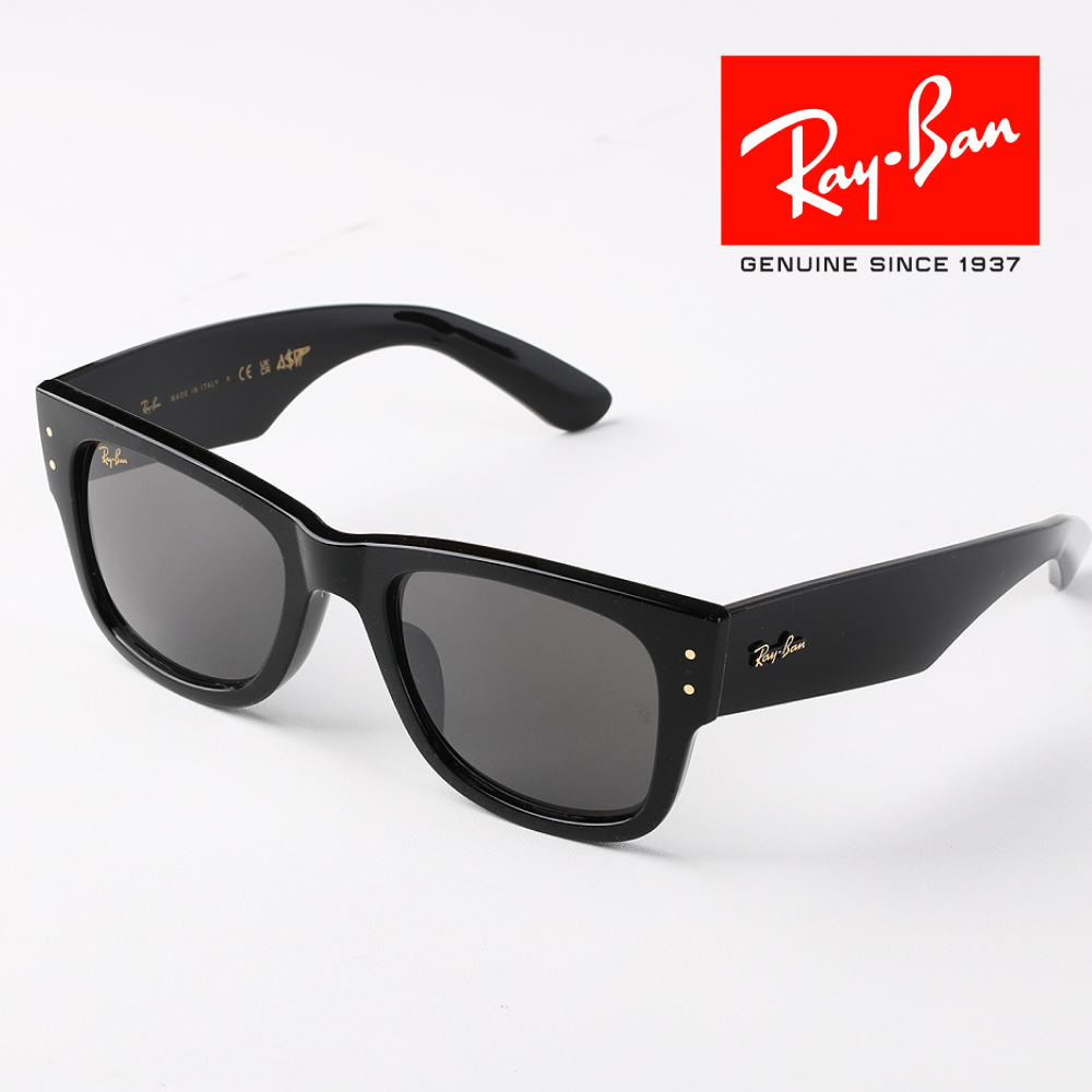 레이밴 볼드 템플 메가 선글라스 RB2289 RB0316S RB0840SF RB4454F - 상세 이미지 5