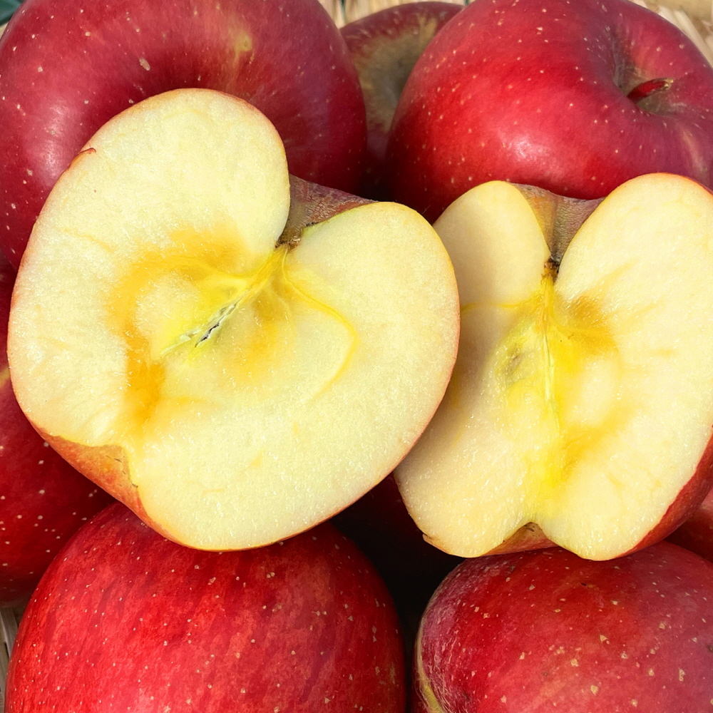 사과 청송 부사 못난이 아삭한 꿀사과 가정용 선물용 5kg 10kg 제품 이미지