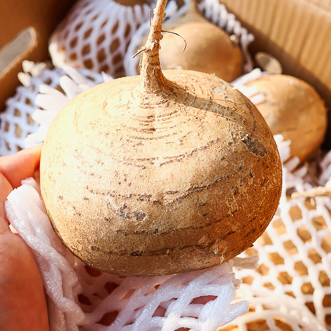 슈퍼푸드 히카마 멕시코 감자 5kg, 1개 - 메인 이미지