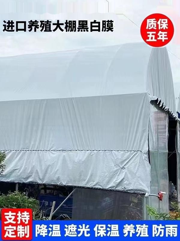 비닐하우스 차광막 인삼천 햇빛차단막 햇빛차단 농업용 14S 흑백 필름 50m 2m - 상세 이미지 3