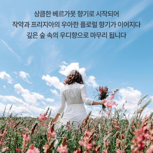 케이니치 로멘틱브리즈 니치향수 스위트플로럴향, 100ml, 1개