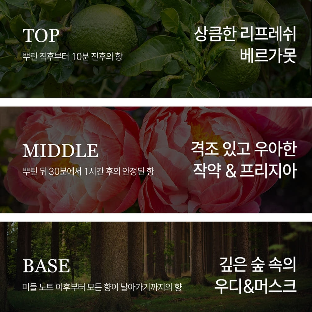 향수 연출 사진1