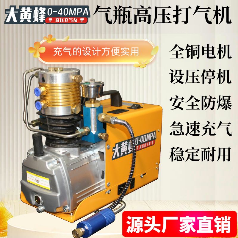 고압 팽창식 펌프 전기 범블비 단기통 30mpa 40mpa 공기 수냉식 방폭 모델(안전 외부 여과) 구리선 2800R 고속 모터 - 상세 이미지 3