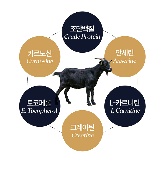 여성활력제 생마카 블랙마카up 갱년기 초월 - 상세 이미지 5