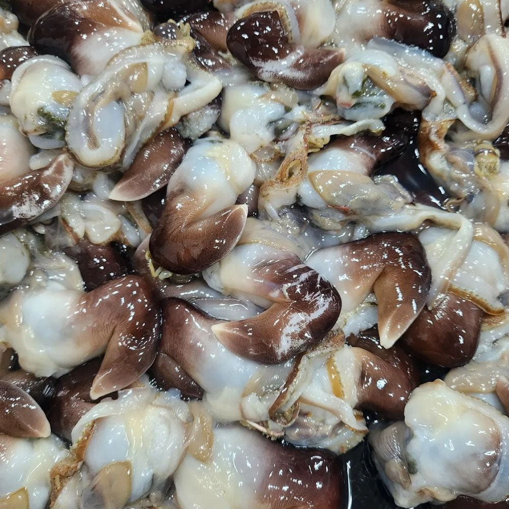 새조개 샤브샤브 상차림